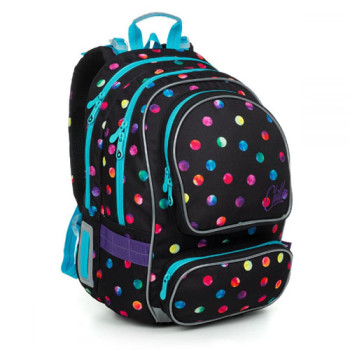 Двухкамерный школьный рюкзак для девочек фиолетовый class=