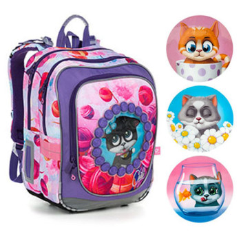 Двухкамерный школьный рюкзак для девочек со сменными рисунками кошек class=