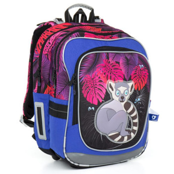 Двухкамерный школьный рюкзак для девочки с изображением лемура class=
